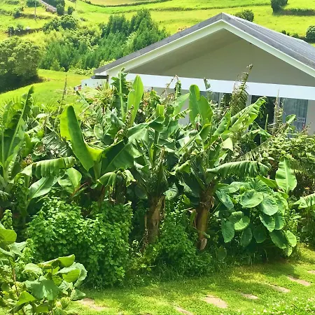 بيت للعطل Azores Casa Hawaii