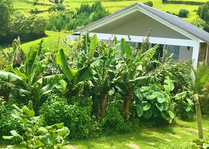 بيت للعطل Azores Casa Hawaii