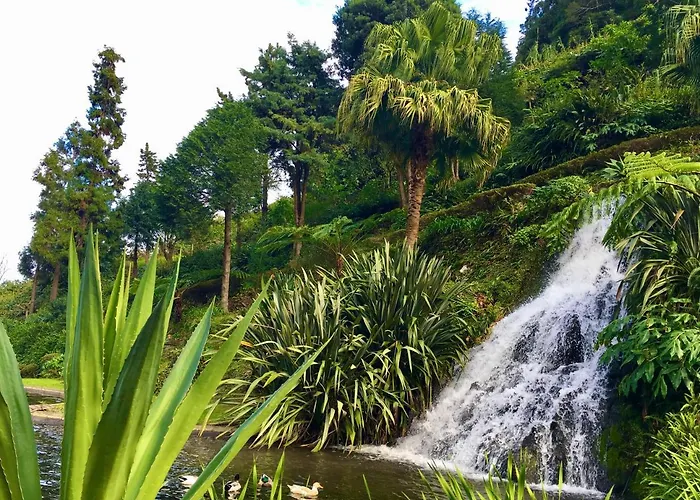 Azores Casa Hawaii * نوردست